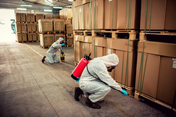 Best Best Pest Control Companies  in Conrad, IA